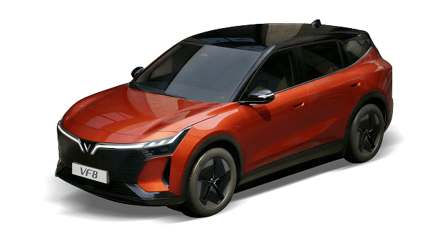 VF8PH-20.png